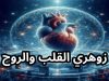 زوهري القلب والروح و أسراره